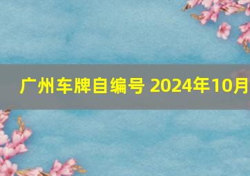 广州车牌自编号 2024年10月